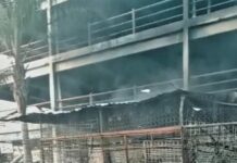 Investigan hechos registrados en el mercado Independencia, en Morelia