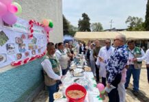 Con Feria de Salud IMSS-Bienestar acerca servicios a estudiantes del COBAEM en Ario de Rosales.