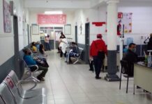 ¿Cuándo aplicar la vacuna contra la rabia en humanos?