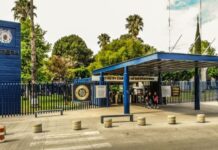 ¿Quieres estudiar en la UMSNH? Abre segunda convocatoria; conoce qué carreras se ofertarán