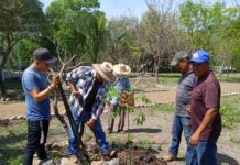 Con plantación de árbol “pochote” símbolo de vida, CEMSaD 03 de Zárate, refrenda compromiso con el medio ambiente
