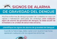 Estos son los síntomas del dengue y las características del mosco transmisor