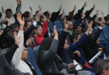 UMSNH contará con la Licenciatura en Trabajo Social y con el programa de Técnico Superior Universitario en Enseñanza de Idiomas