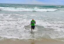 Playas michoacanas, aptas para vacacionar: SSM