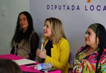 Jamás me atrevería a hacerle una mala jugada a mi partido, jamás me atrevería a jugar chueco, al PRD :Brisa Arroyo, Diputada Local